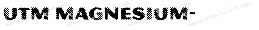 utm magnesium字体转换